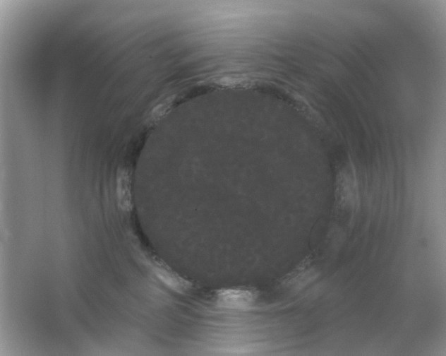 X0000063500234200602172127