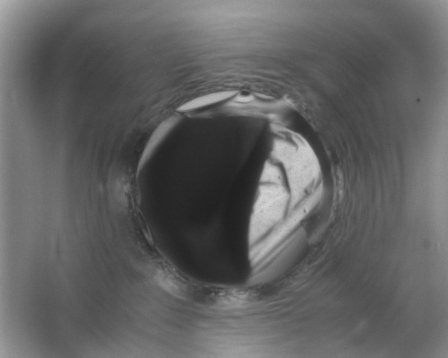 X0000063500235200602172127