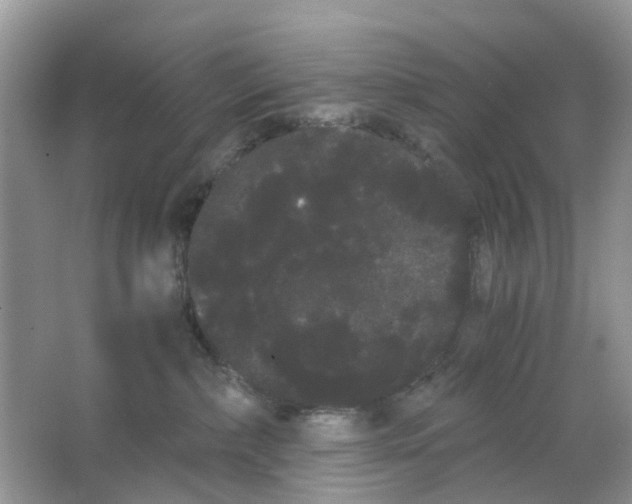 X0000063500236200602172127