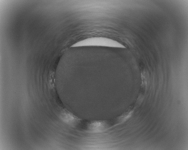 X0000063500237200602172127