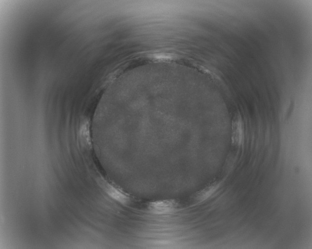 X0000063500238200602172127