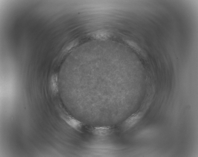 X0000063500240200602172127