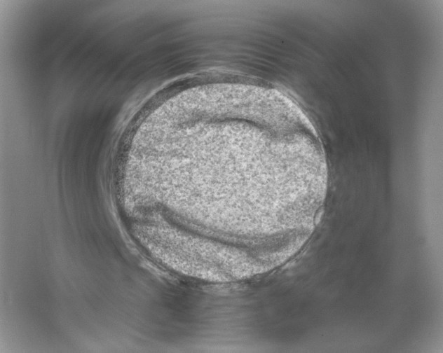 X0000063500241200602172126