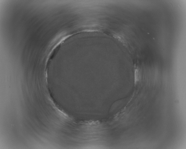 X0000063500243200602172126