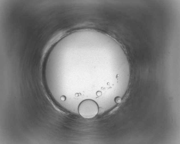 X0000063500245200602172126