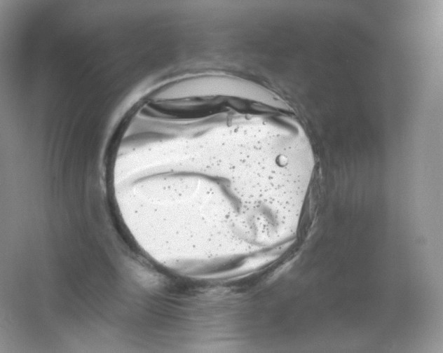 X0000063500246200602172126