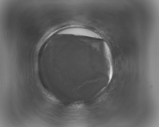 X0000063500247200602172126