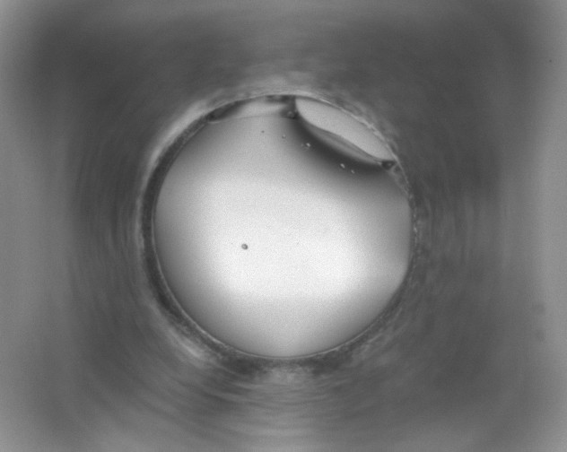 X0000063500248200602172126