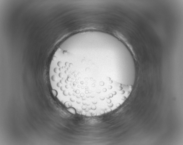 X0000063500249200602172126