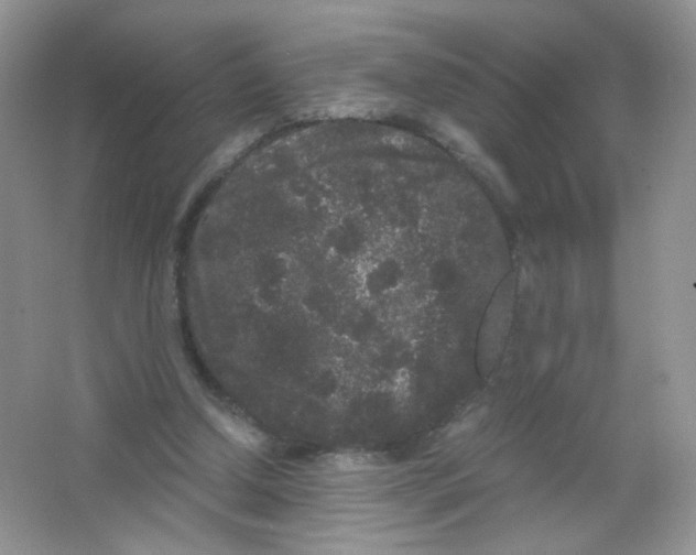 X0000063500250200602172126