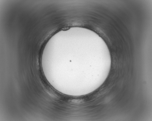 X0000063500251200602172126