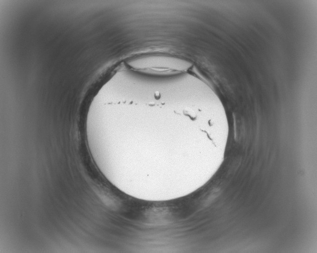 X0000063500252200602172127