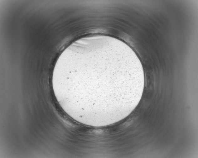 X0000063500253200602172127