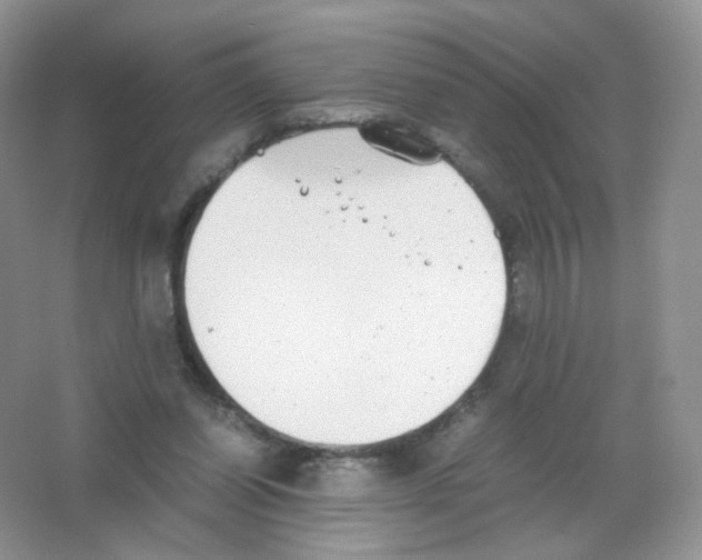 X0000063500254200602172127