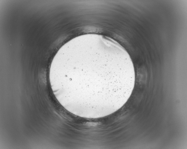 X0000063500255200602172127