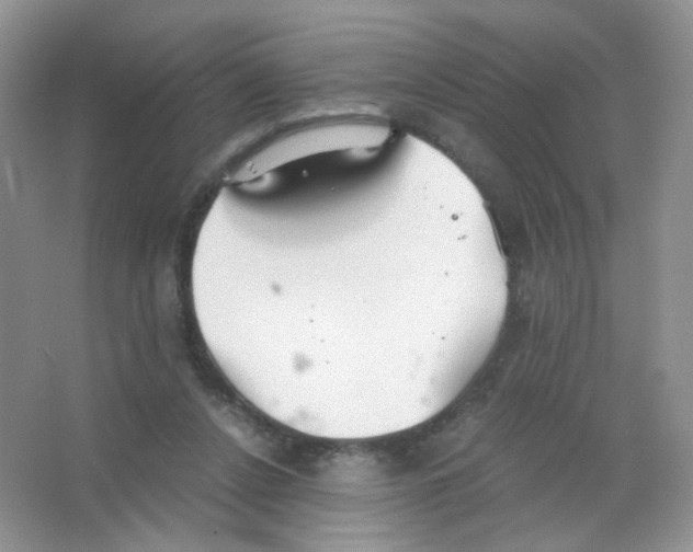 X0000063500256200602172127