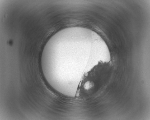 X0000063500257200602172127