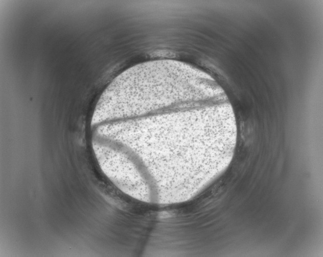 X0000063500259200602172127