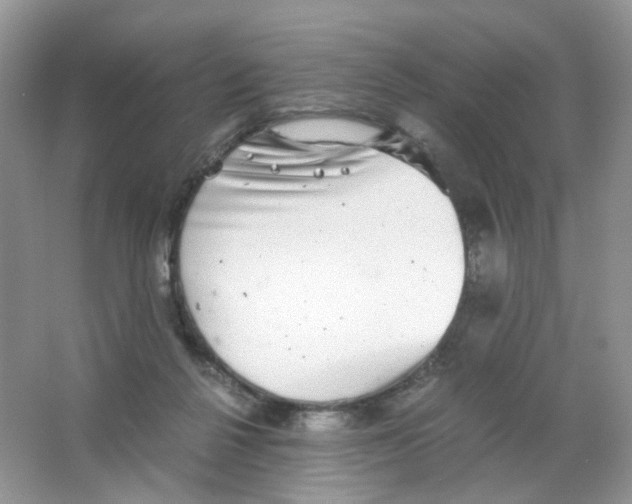 X0000063500264200602172127