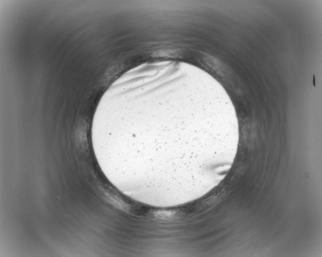 X0000063500265200602172127