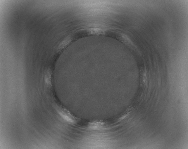 X0000063500266200602172127