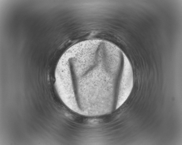 X0000063500268200602172127