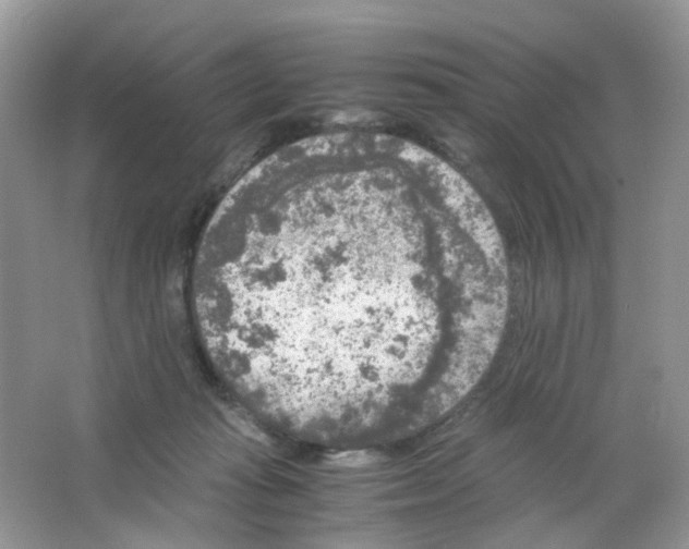 X0000063500269200602172127