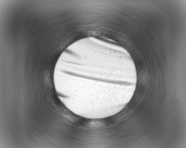 X0000063500270200602172127