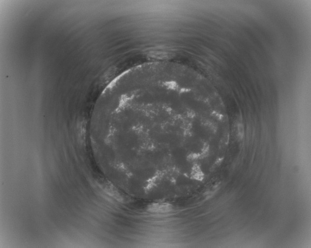 X0000063500271200602172127