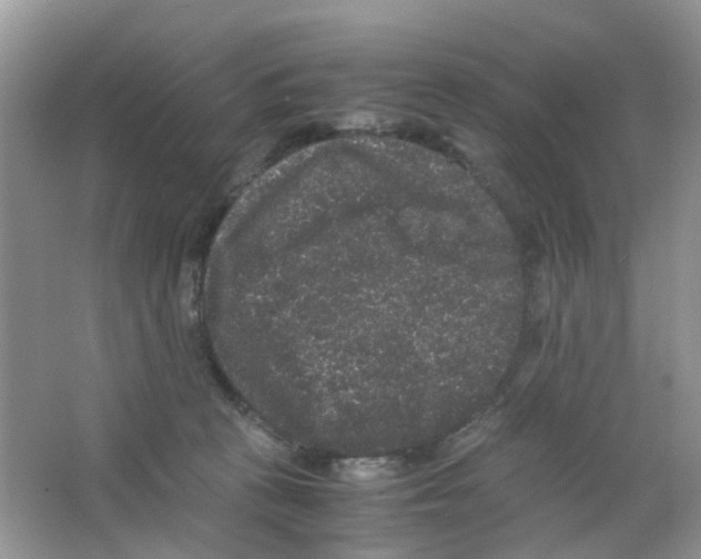 X0000063500273200602172127