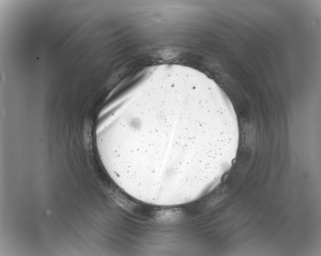 X0000063500274200602172127