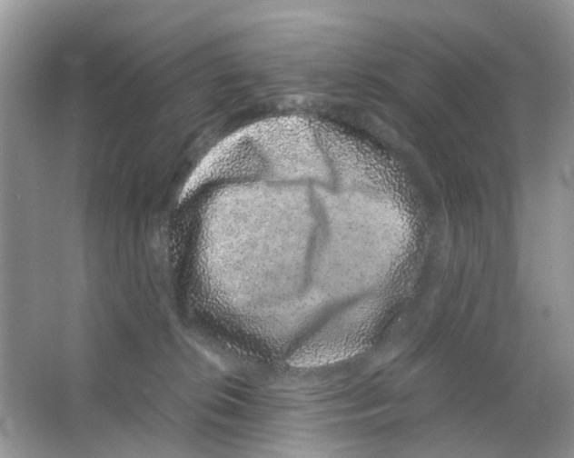 X0000063500276200602172127