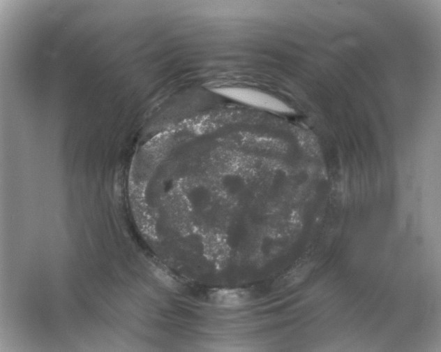 X0000063500277200602172127