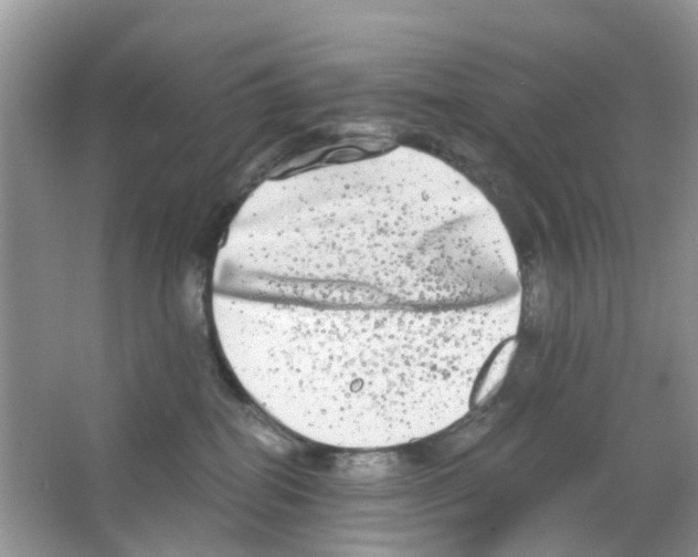 X0000063500282200602172127