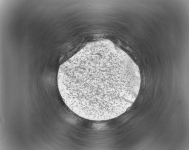 X0000063500283200602172127