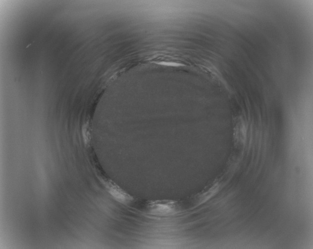 X0000063500285200602172127