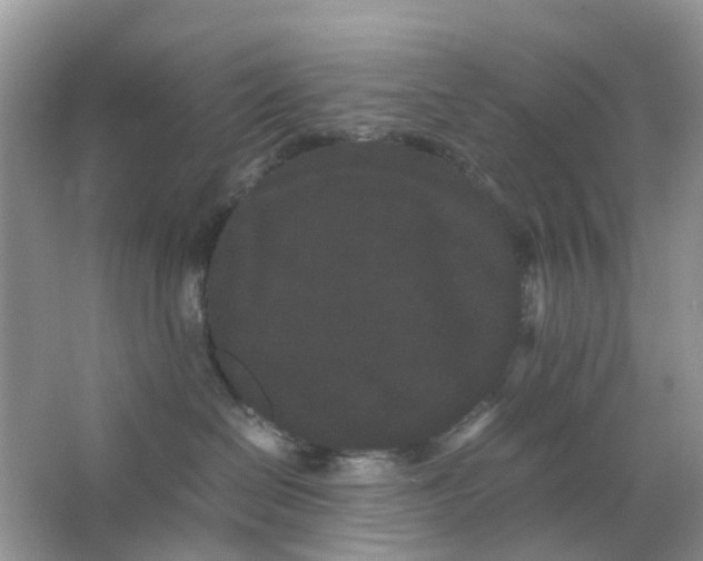 X0000063500286200602172127