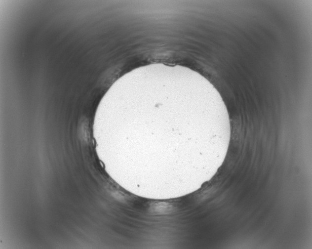 X0000063500287200602172127