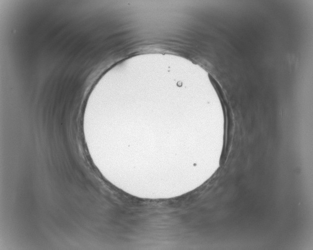 X0000063500289200602172126