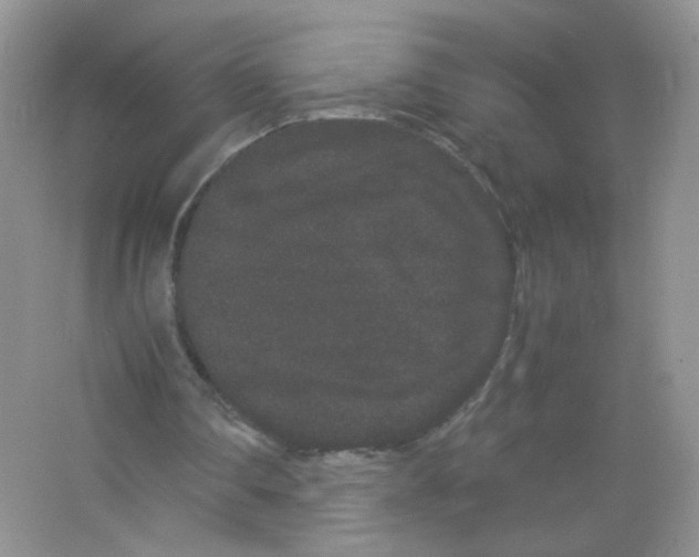 X0000063500290200602172126