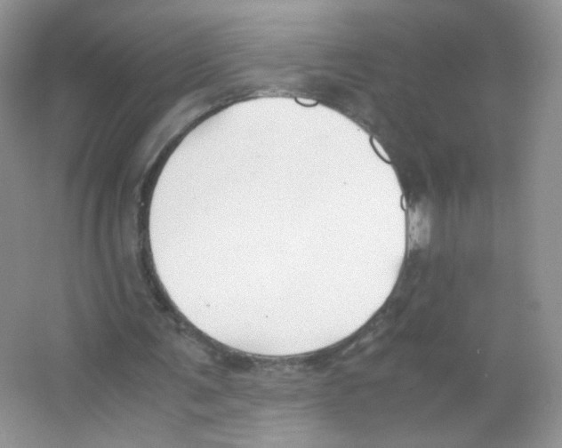 X0000063500291200602172126