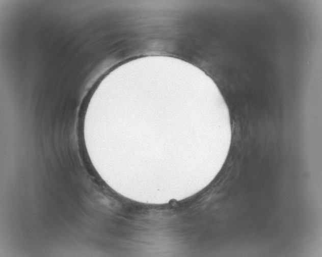 X0000063500292200602172126