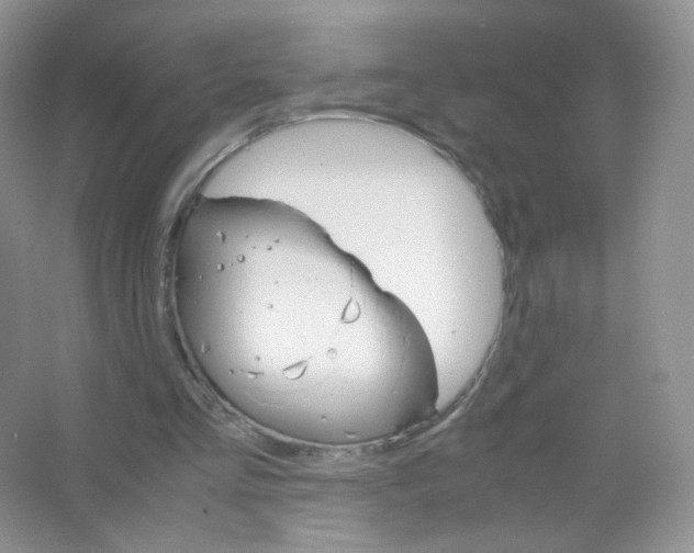 X0000063500293200602172126