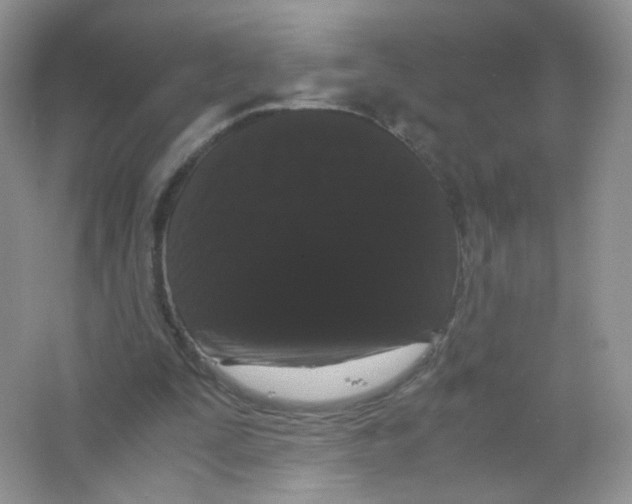 X0000063500295200602172126