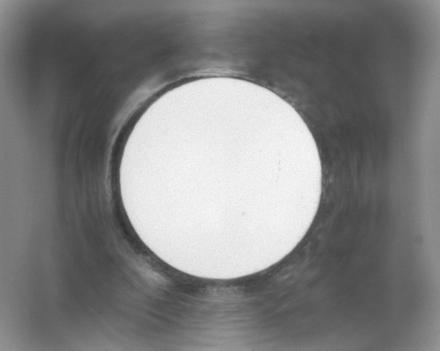 X0000063500296200602172126