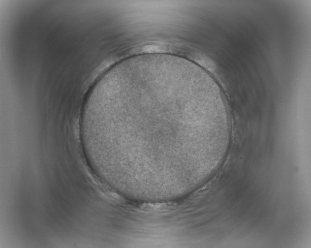 X0000063500297200602172126