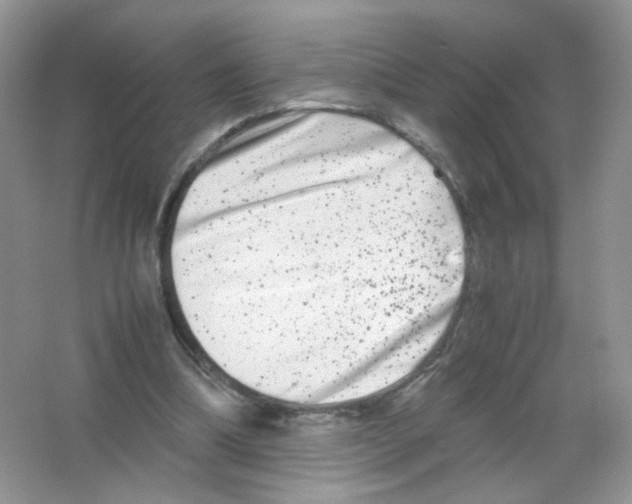 X0000063500298200602172126