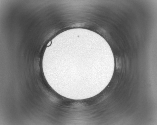 X0000063500300200602172126