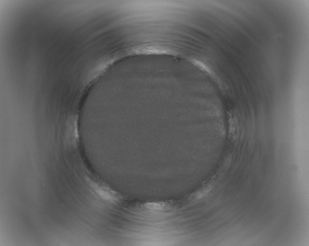 X0000063500302200602172126