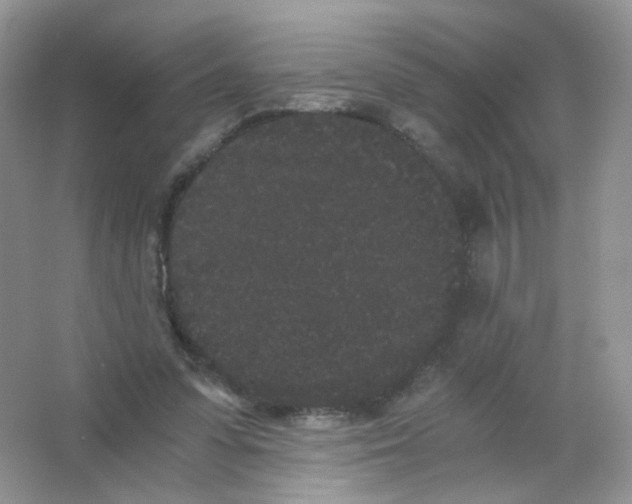 X0000063500303200602172126